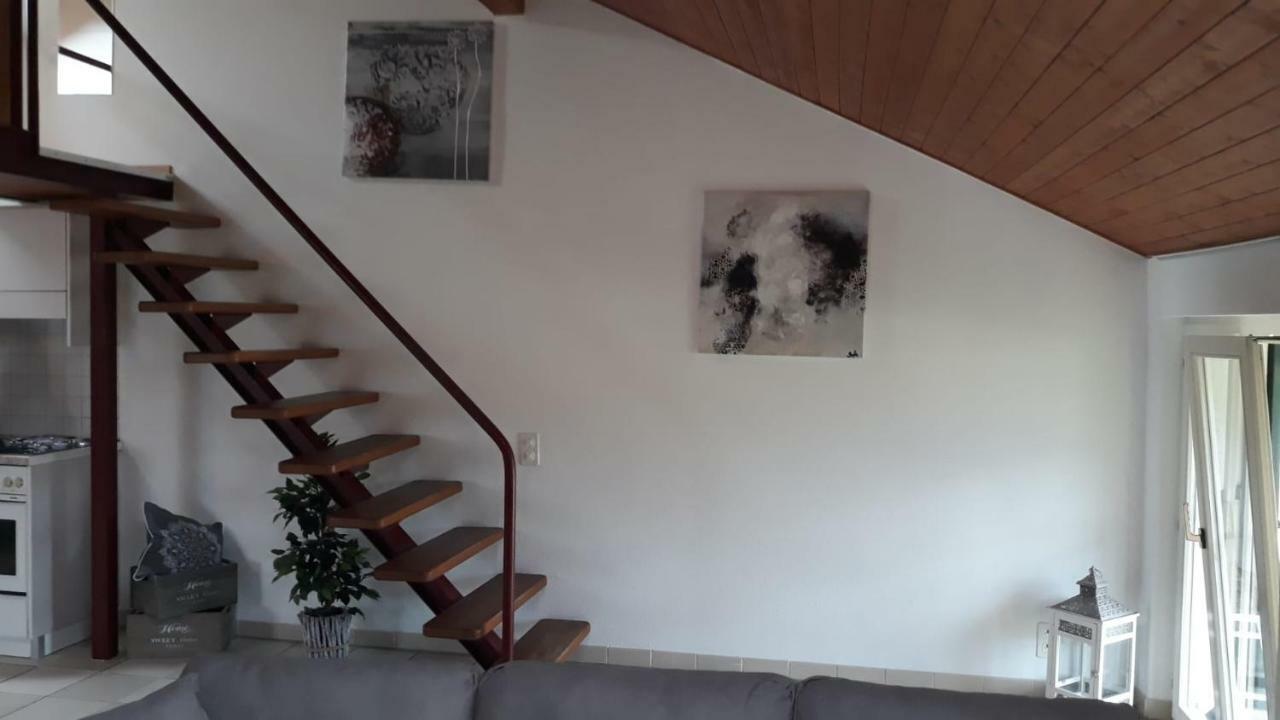 Holidays Homes Il Folletto Quartino 外观 照片